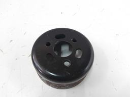 Polia Bomba Dágua Renault Duster 1.6 H4m 2015/2019