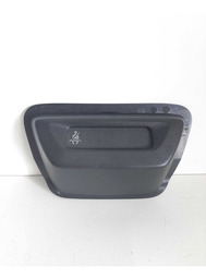 LUZ INDICADORA RENAULT OROCH 1.3 TURBO 2022 A 24 248606407R