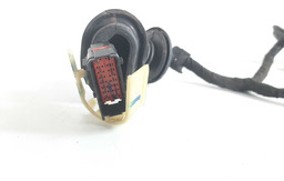 CHICOTE PORTA TRASEIRO DIREITO CITROËN C3 2013 2014 A 2019