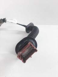 CHICOTE PORTA TRASEIRA DIREITA RENAULT SANDERO 2015 A 2023