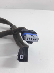 CHICOTE PORTA DIANTEIRA DIREITA SANDERO 15/ LOGAN 14/24