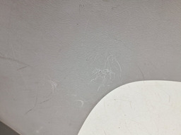 ACABAMENTO TRASEIRO LADO DIREITO KIA OPIRUS 3.8 2007 2008