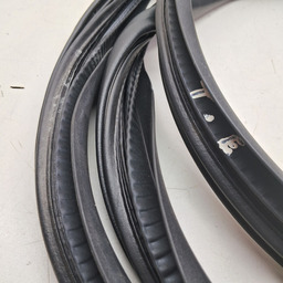 BORRACHA PORTA TRASEIRA ESQUERDA (CARROCERIA) SANDERO 2015/