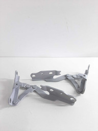 PAR DOBRADIÇA CAPO DIANTEIRO OPIRUS 2005 2006 A 2011