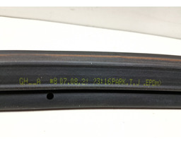 BORRACHA PORTA TRASEIRA DIREITA (CARROCERIA) OPIRUS 04 A 09