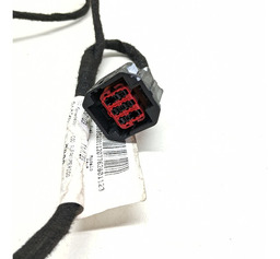 CHICOTE PORTA TRASEIRA DIREITA RENEGADE 2016/