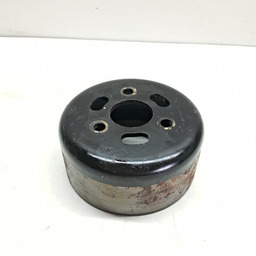 POLIA BOMBA AGUA RENAULT DUSTER 1.6 16V 2017 2018 2019 A 24