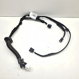 CHICOTE PORTA DIANTEIRA ESQUERDA RENAULT KWID 2022 2023 2024