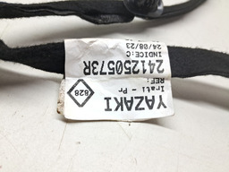 CHICOTE PORTA DIANTEIRA ESQUERDA RENAULT KWID 2022 2023 2024