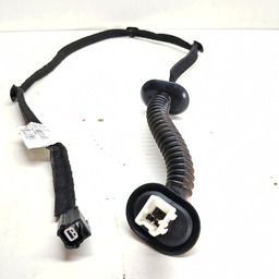 Chicote Porta Traseira Esquerda Renault Kwid 1.0 2022 A 2024