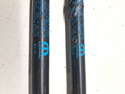 PAR AMORTECEDOR TAMPA TRASEIRA JEEP RENEGADE 1.8 2015 A 2024