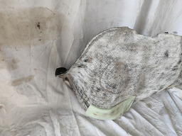 FORRO ACABAMENTO PORTA MALAS L.D HB20 1.0 2013/2019