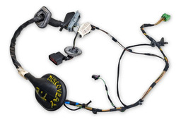 CHICOTE PORTA TRASEIRA ESQUERDA DISCOVERY 3 2005 A 2009