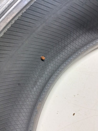 PNEU FARROAD 245/ 145 Z R19 