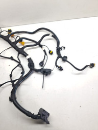 CHICOTE INJEÇÃO MOTOR ARGO CRONOS 1.3 4CC FIREFLY 2018 A 22