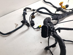 CHICOTE INJEÇÃO MOTOR ARGO CRONOS 1.3 4CC FIREFLY 2018 A 22