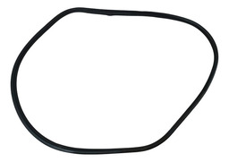 Borracha Vedação Porta Dianteira Direita Bmw 320i 2.0 13/17