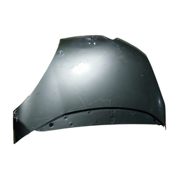 CAPÔ DIANTEIRO C4 PICASSO 2009 2010 A 2014 C/FURO C/DETALHE