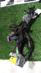 CHICOTE DA PORTA TRASEIRA ESQUERDA C4 PALLAS 2010