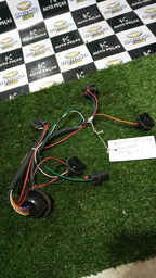 CHICOTE DA LANTERNA LADO ESQUERDO C4 PALLAS