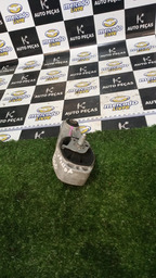 COXIM INFERIOR DA AGREGADO C4 CACTUS 2020