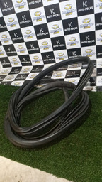 Borracha De Porta Dianteira Esquerda Picasso 2004