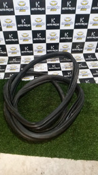 BORRACHA DE PORTA DIANTEIRA ESQUERDA PICASSO 2004