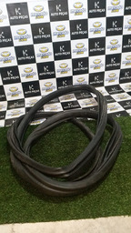 BORRACHA DE PORTA DIANTEIRA ESQUERDA PICASSO 2004