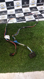 Chicote Da Resistência Picasso 2005