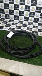 BORRACHA DE PORTA DA PORTA TRASEIRA DIREITA C4 PALLAS 2010