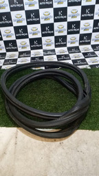 BORRACHA DE PORTA TRASEIRA ESQUERDA PICASSO 2004