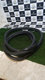 BORRACHA DE PORTA TRASEIRA ESQUERDA PICASSO 2004