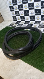 BORRACHA DE PORTA TRASEIRA ESQUERDA PICASSO 2004