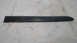 Friso Porta Traseira Direita Renault Clio 2002