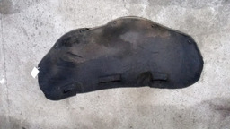 FORRO INTERNO CAPÔ C4 PALLAS 