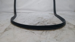 BORRACHA PORTA TRASEIRA ESQUERDA CITROEN C4 HATCH 2010