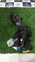 Chicote Da Porta Traseira Direita C4 Pallas 2010