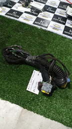 CHICOTE DA PORTA TRASEIRA DIREITA C4 PALLAS 2010