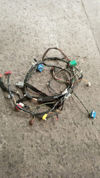 CHICOTE DO PAINEL PICASSO 2004