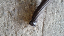 MANGUEIRA LINHA COMBUSTIVEL CITROEN PICASSO 2.0 16V *UNIDADE