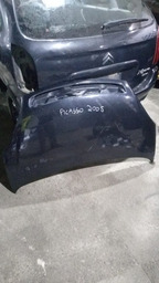 CAPO DIANTEIRO PICASSO 2005