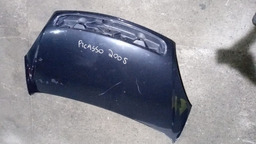 CAPO DIANTEIRO PICASSO 2005