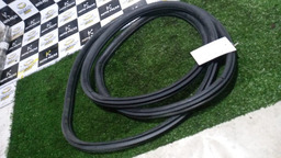 BORRACHA PORTA DIANTEIRA DIREITA C4 PALLAS 2010