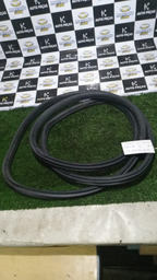 BORRACHA PORTA DIANTEIRA DIREITA C4 PALLAS 2010