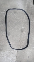 Borracha De Porta Traseira Esquerda Xsara Picasso 2005