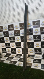 Pestana Interna Lado Direito Picasso 2004