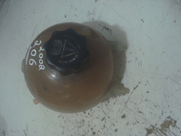 Reservatório Água Peugeot 206 2002