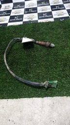 SONDA LAMBDA PICASSO 2004 2.0