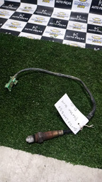 SONDA LAMBDA PICASSO 2004 2.0