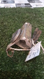 CILINDRO DE PORTA DIANTEIRA DIREITA DO PICASSO 2004